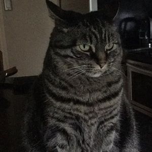 Meet your Posher, Karen